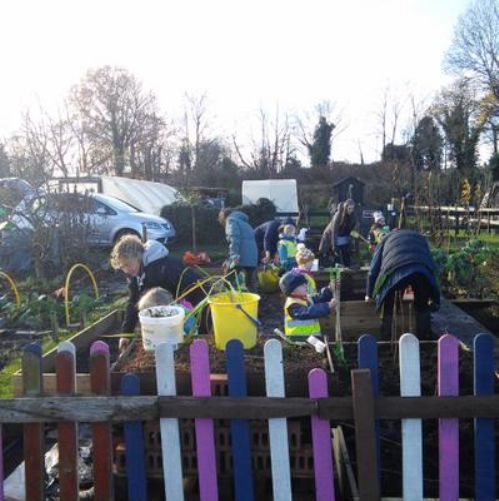 Our Allotment