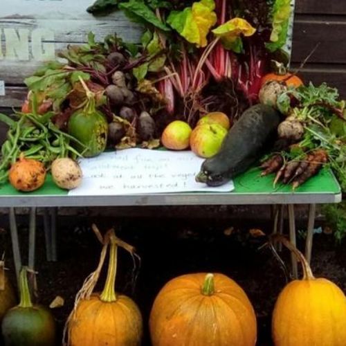 Trip to Harvest Produce