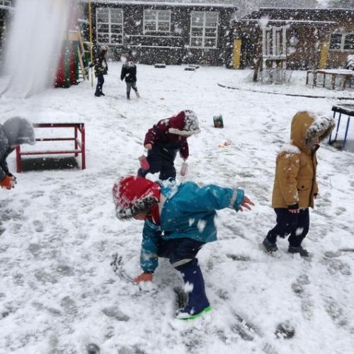 Outdoor learning in Central's gardens