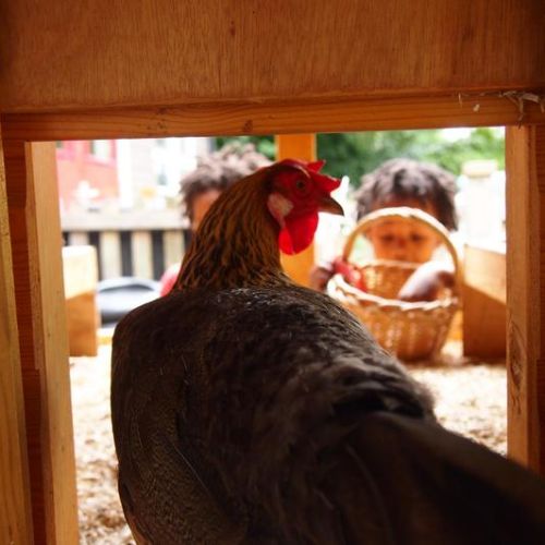 Farm School